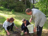 ein Bild aus dem Album