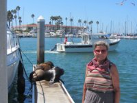 ein Bild aus dem Album