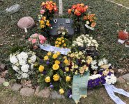 ein Bild aus dem Album